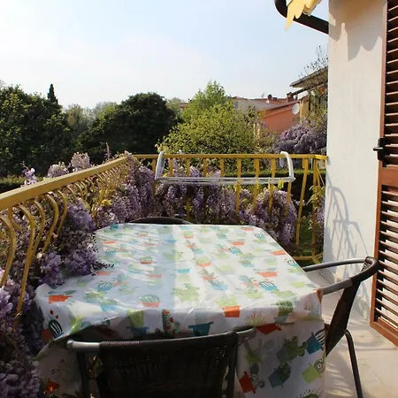 Apartman Elena Appartamento Rovigno