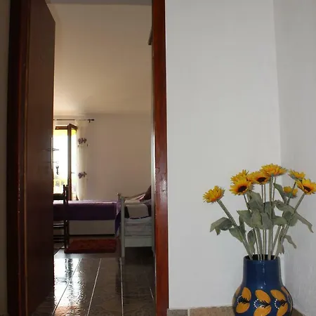 Apartman Elena Appartamento