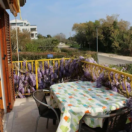 Apartman Elena