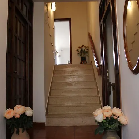 Apartman Elena *